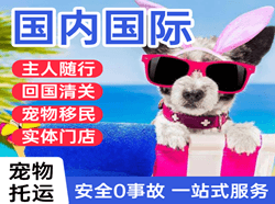 萧山航空物流国际宠物托运 【国